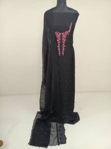 Viscose organza hand embroidered Suits