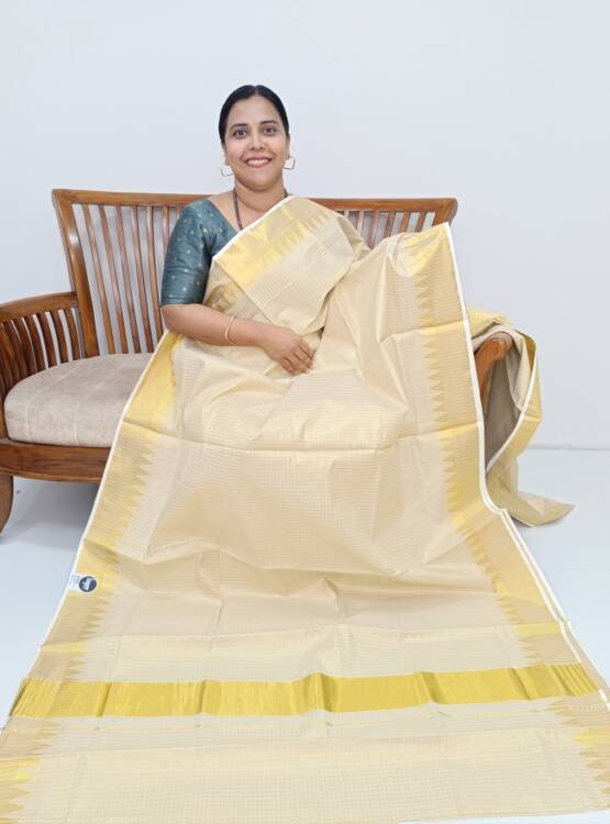TISSUE CHECK DESIGN SAREE