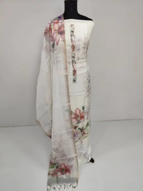 IMG_20241130_114948-768x1024