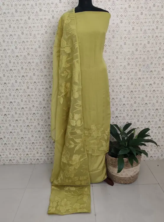ORGANZA APPLIQUE WORKED SUITS
