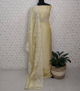 ORGANZA SILK SALWAR SUITS