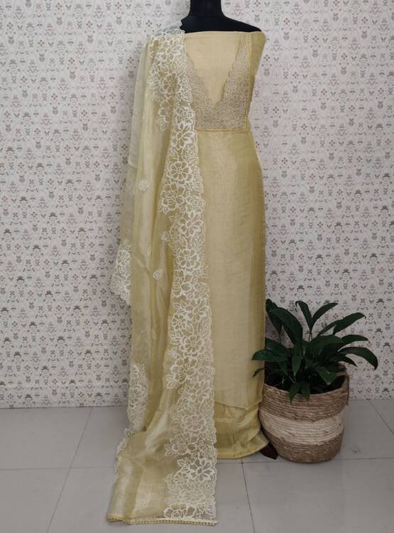 ORGANZA SILK SALWAR SUITS