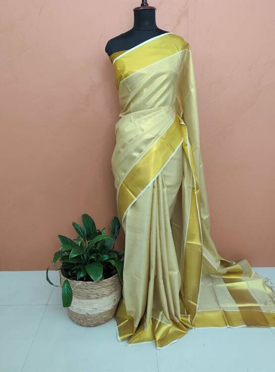 TISSUE SILK SAREE